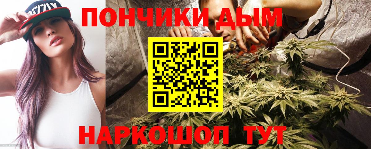 Канабис семена Великий Устюг